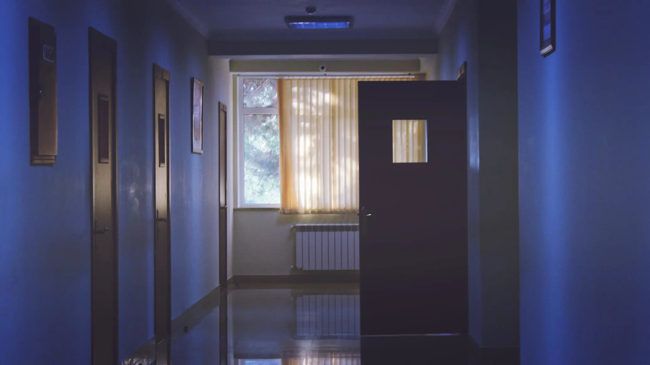 In the dimly lit hallway, reminiscent of a scene from an investigation, closed wooden doors line both sides while soft light filters through vertical blinds, casting shadows on the shiny floor. A single door is slightly ajar, hinting at secrets within.