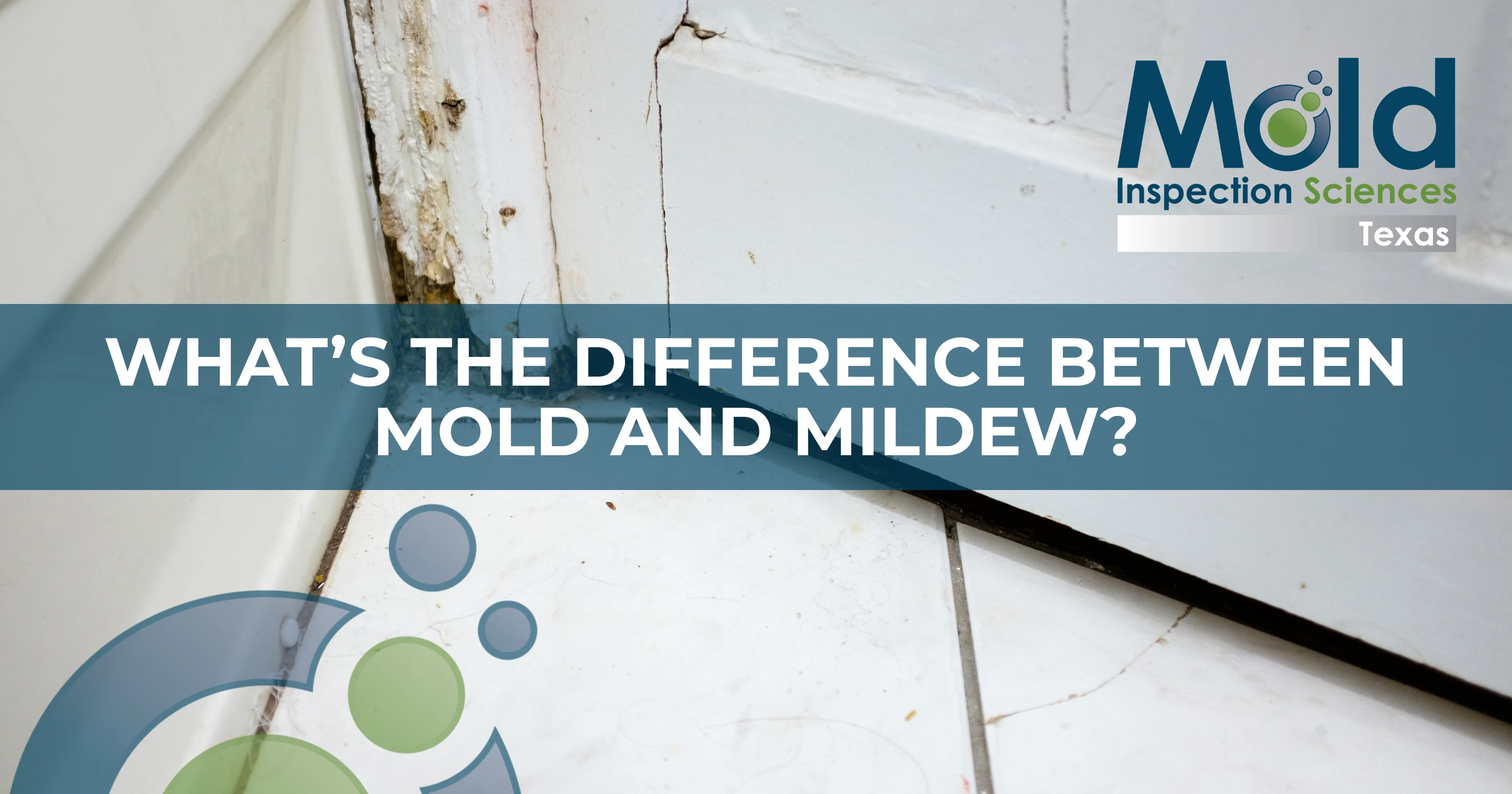 Close-up of mold growing in the corner of a white tiled floor and wall, with text overlay: What’s the difference between mold and mildew? Includes a Mold Inspection Sciences Texas logo, highlighting professional assessment services.