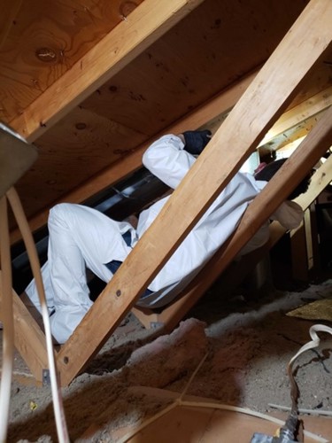 Attic Inspection