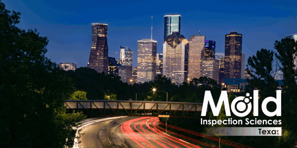 Mold Inspection and Testing in Houston and the Surrounding Areas