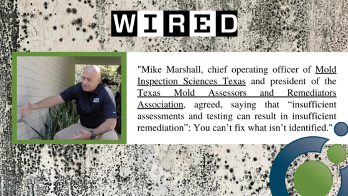 A person is leaning against a wall, gesturing with their hand. A text box quotes Mike Marshall discussing mold inspection and remediation challenges. The background features a Wired magazine-style design with abstract patterns and graphic elements, emphasizing the importance of thorough assessment.