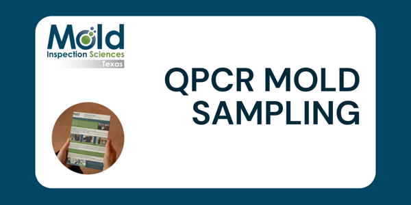qPCR Mold Sampling