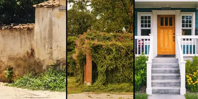 Triptych showing: a weathered stone wall with plants at the base; a small brick structure covered in dense green vines under assessment; and the front entrance of a house with stairs, white railing, flowers, and a wooden door.
