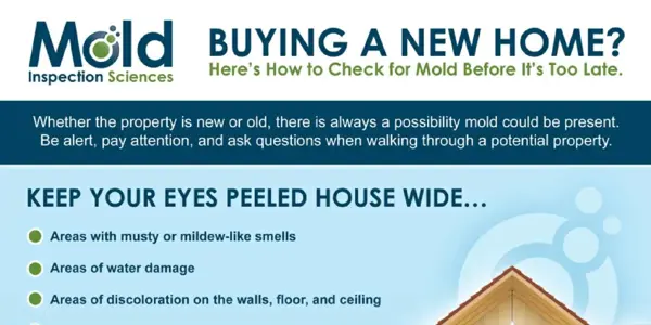 Infographic Demonstrates How to Check for Mold Before It’s Too Late