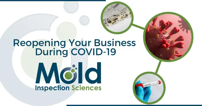 Graphic for Reopening Your Business During COVID-19 by Mold Inspection Sciences. Showcases a microscopic view of mold, a COVID-19 virus model, and a gloved hand holding a swab test, emphasizing the importance of thorough inspection before safely welcoming back customers.