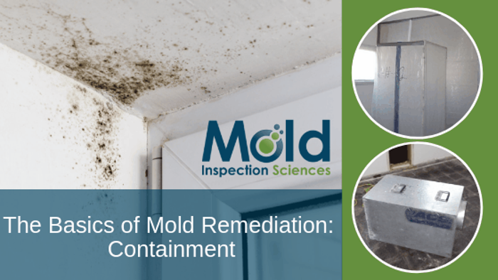 Image showing a mold-affected corner of a ceiling and walls, with the Mold Inspection Sciences logo. Two smaller images feature containment setups with protective barriers. Text reads: The Basics of Mold Investigation and Remediation: Containment.