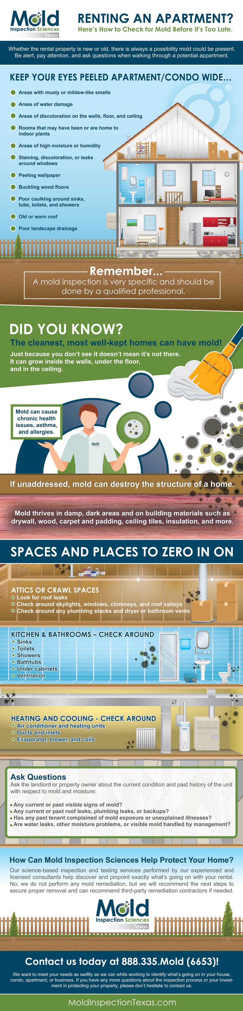 Renting an Apartment? Here’s How to Check for Mold Before It’s Too Late