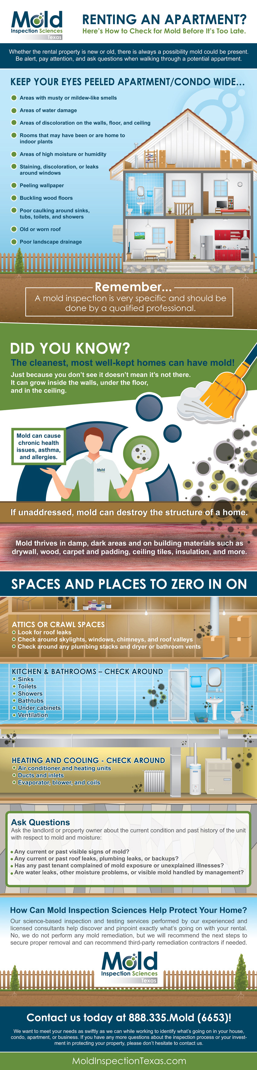 Renting an Apartment?  Here’s How to Check for Mold Before It’s Too Late