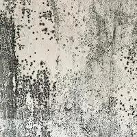 A close-up of a concrete wall with black spots and streaks resembling mold, creating a textured, weathered appearance with an abstract pattern. The surface shows signs of aging and wear, like a natural assessment of time, with varying shades of gray and black.