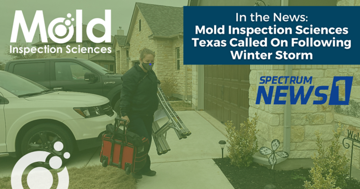 A person carrying equipment walks towards a house, ready to conduct an inspection. Signage reads: Mold Inspection Sciences and In the News: Mold Inspection Sciences Texas Called On Following Winter Storm alongside the Spectrum News 1 logo. Two vehicles are parked nearby.