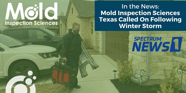 Austin Residents Turn to Mold Inspection Sciences Texas