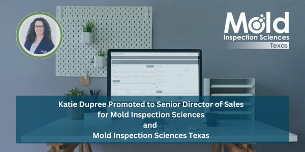 Katie Dupree Promoted to Senior Director of Sales for Mold Inspection Sciences Texas