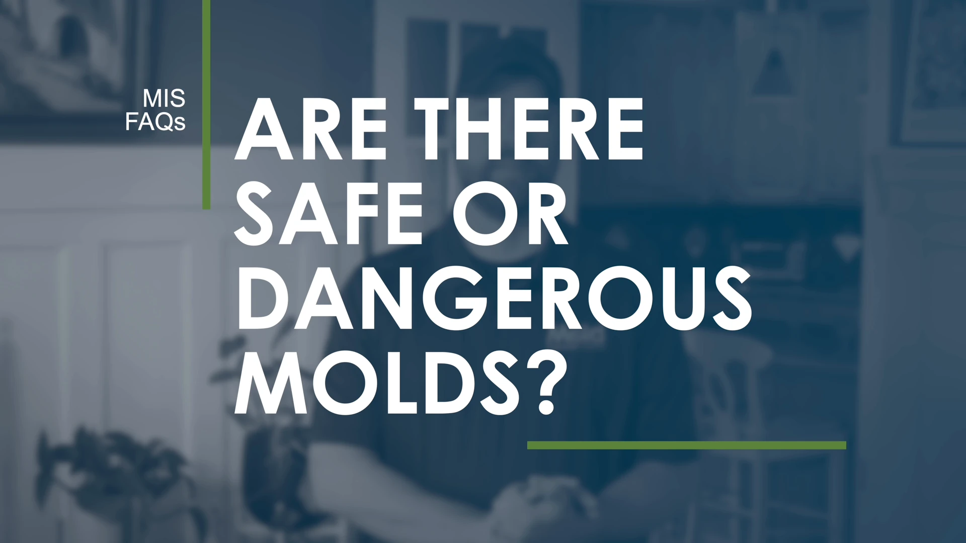 Are There Safe or Dangerous Molds