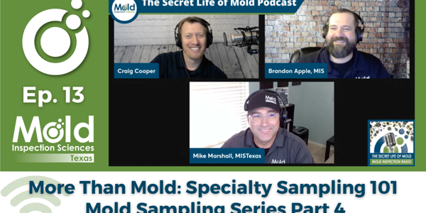 Episode 13: Specialty Sampling 101: Exploring Mold Inspections and More