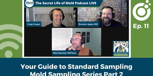 Episode 11: Your Guide to Standard Sampling - Mold Sampling Series Part 2