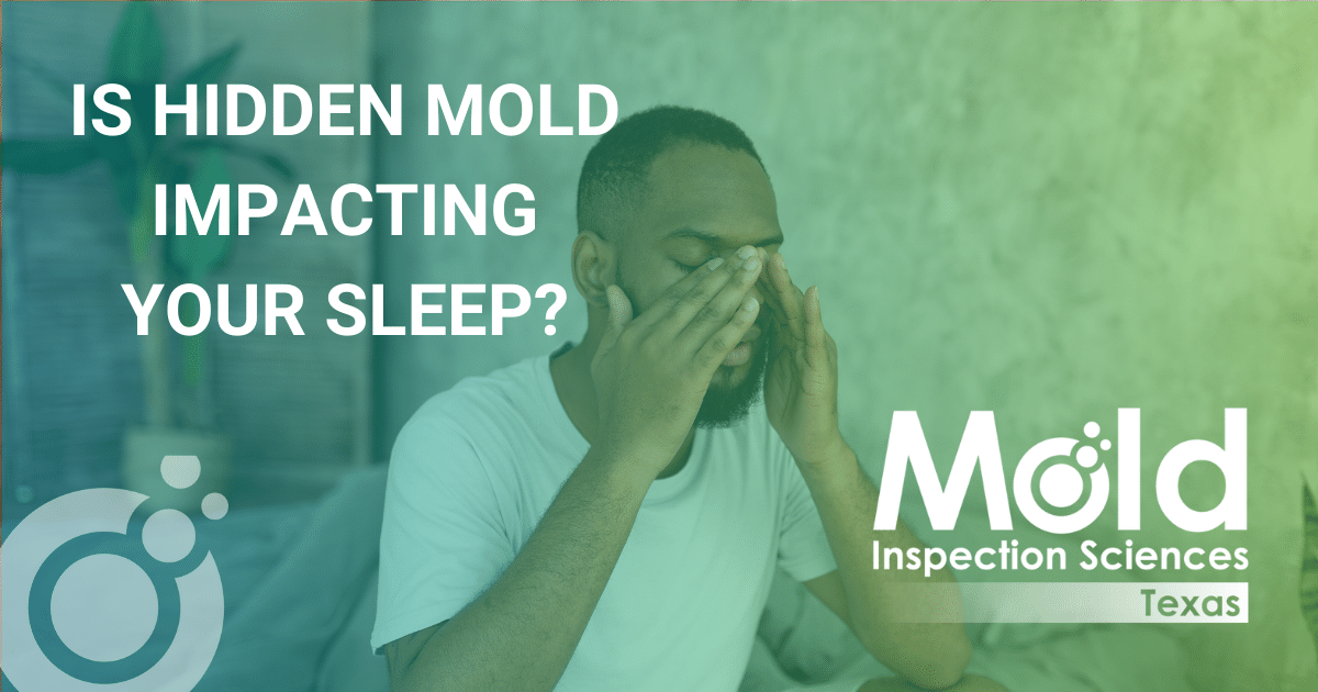 The Impact of Mold on Sleep Quality