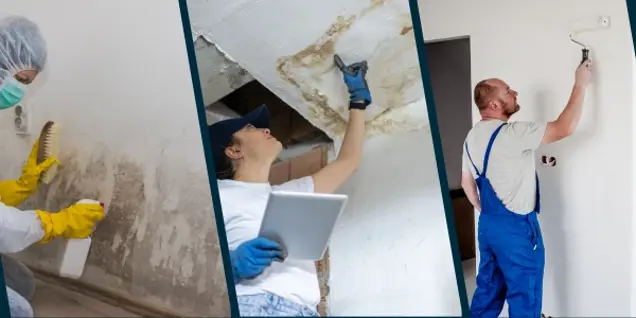 Three images depict stages of wall renovation: Left, a person in safety gear cleans mold off a wall. Center, a person in a cap conducts a mold assessment with a tablet. Right, testing the final look, another applies white paint to the wall with a roller.