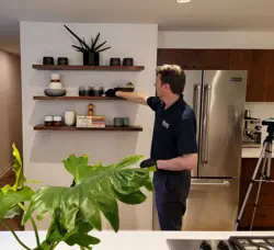 A person wearing a dark polo shirt and gloves carefully inspects items on wooden shelves in a modern kitchen. The space boasts a stainless steel refrigerator, a large leafy plant, and a tripod stand, creating an ideal setting for keen assessment.