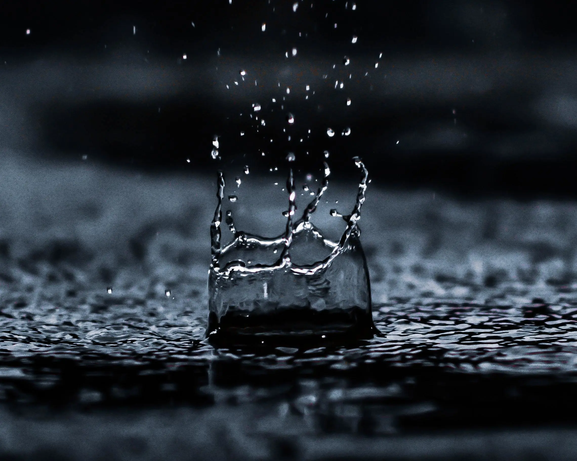 Close-up of a water droplet splashing on a dark surface, creating a crown-like effect reminiscent of an intricate mold structure with droplets scattering upwards. The image captures the dynamic motion and detail against a blurred background.