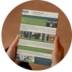 Our Free Mold Sampling Guides