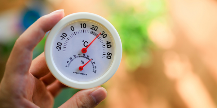 A hand holds a hygrometer, displaying a temperature of 26°C and humidity at 45%, essential metrics in mold testing. The background is softly blurred, hinting at greenery and a warm atmosphere.
