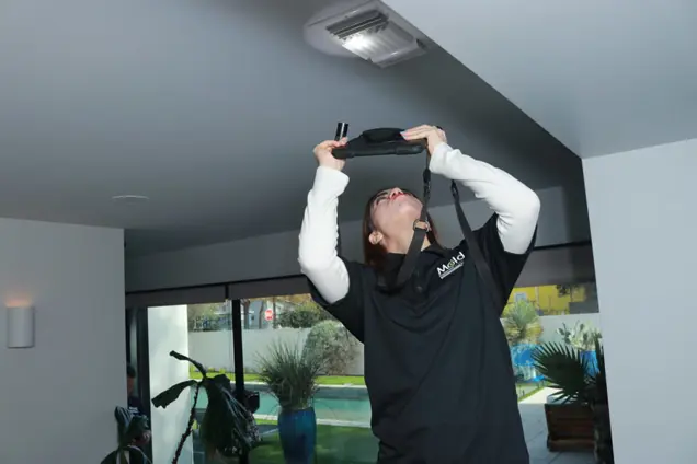 A person in a black shirt stands on a stepladder, conducting an inspection of a ceiling fixture in a modern indoor space. They hold a device towards the light, assessing its functionality. Plants and large windows provide a serene backdrop to the scene.