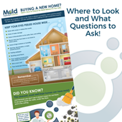 Where to Look and What Questions to Ask