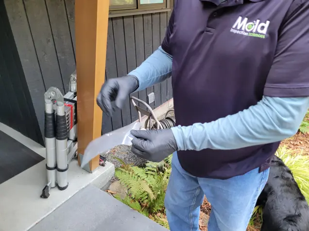 A person in gloves and a Mold Inspection Sciences shirt holds a plastic bag outdoors, conducting an assessment near a dark wooden building. A small ladder and outdoor chair are nearby. Partial view of a dog is seen in the bottom right corner.