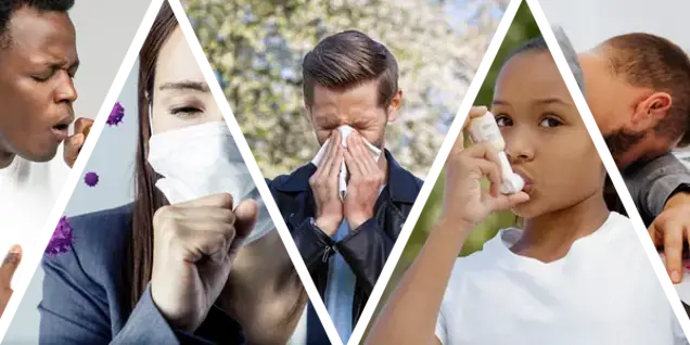 A collage shows people with respiratory issues: a man coughing, a woman wearing a mask coughing, a man sneezing outdoors, a girl using an inhaler, and a man comforting a child—highlighting the need for assessment and inspection of air quality.