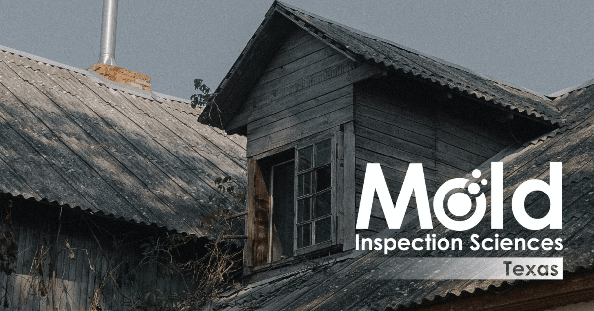 Texas Licensed Asbestos Inspectors and Consultants | Mold Inspection ... - Asbestos And Mold Inspection Services