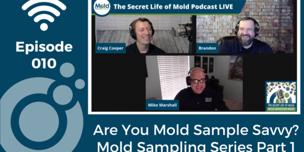 Episode 10: Are You Mold Sample Savvy? Mold Sampling Series Part 1