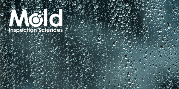 Raindrops cover a glass surface with a blurred blue background. The white logo in the top left corner reads Mold Inspection Sciences, emphasizing thorough inspection and assessment.