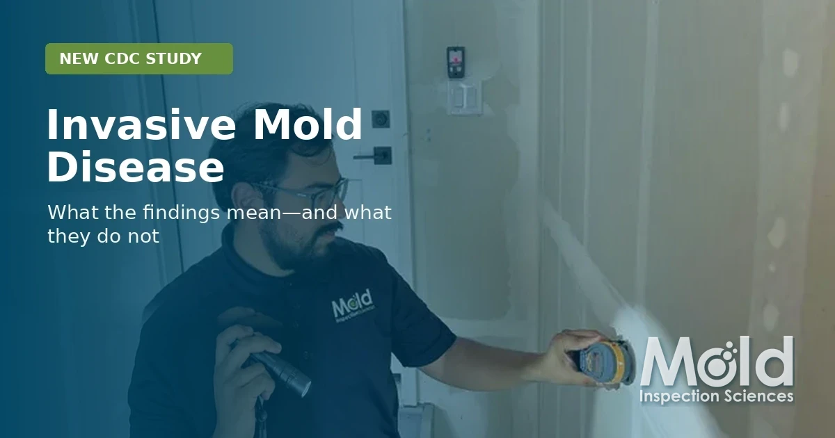 Mold Inspection Sciences Texas inspector examining a wall with text reading “Invasive Mold Disease: What the findings mean—and what they do not.”