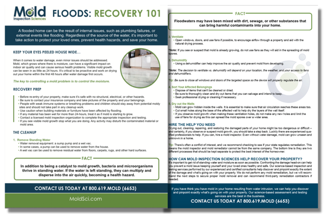 An informational flyer from Mold Inspection Sciences, titled Floods: Recovery 101, offers essential tips on flood prevention, cleanup procedures, and mold assessment. It includes contact information for further assistance and services.
