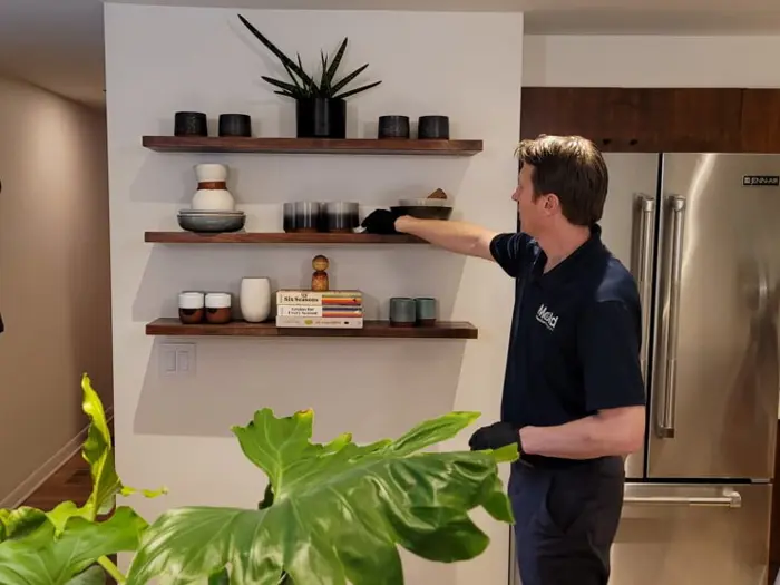 A person wearing a navy shirt and gloves carefully adjusts items on three wooden shelves mounted on a white wall. In this serene setting, perfect for plant assessment, the shelves hold plants, books, and ceramic pieces. A refrigerator is in the background, with a large green plant in the foreground.