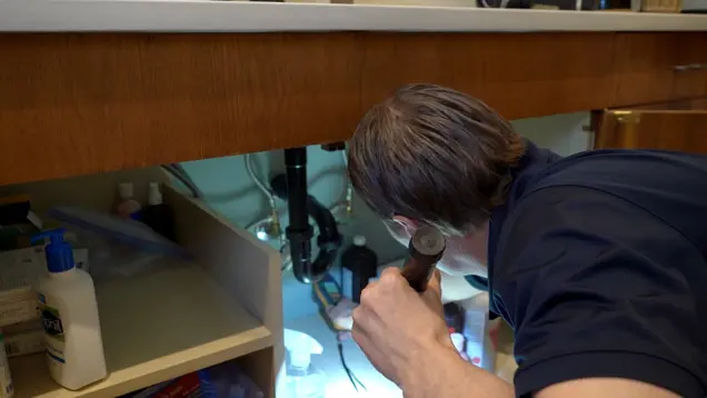A person is conducting an investigation under a kitchen sink cabinet with a flashlight. Various cleaning supplies are visible inside the open cabinet as the individual appears focused on assessing the plumbing for any mold issues.