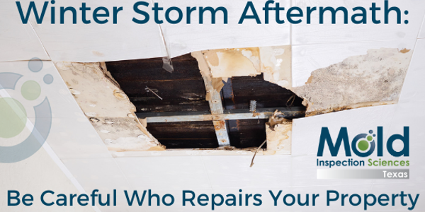 Beware of Unlicensed Mold Remediation Contractors - Mold Inspection Sciences Texas
