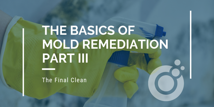 A person wearing yellow gloves holds a spray bottle. Text reads The Basics of Mold Remediation Part III: The Final Clean, highlighting essential mold assessment techniques, with a circular logo on the right side against a blurred background.